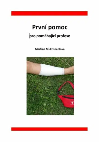 První pomoc pro pomáhající profese - Martina Muknšnáblová - e-kniha