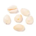 Cowrie Shell Pendants