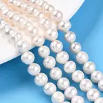 Natural Cultured Freshwater Pearl Beads Strands