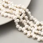 Natural Cultured Freshwater Pearl Beads Strands