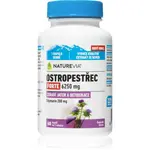 NatureVia Ostropestřec Forte kapsle pro podporu zdraví jater 60 cps