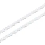 2 Strands Natural Freshwater Shell Beads Strands