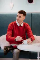 Pánský svetr Edoti E199