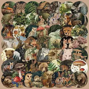 50Pcs PVC Sticker