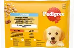 PEDIGREE Kapsička Junior mixovaný výber v želé 4pack