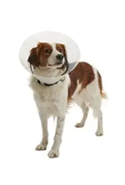 Límec ochranný Buster plastový Clic Collar 10cm