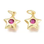 Brass Micro Pave Cubic Zirconia Charms