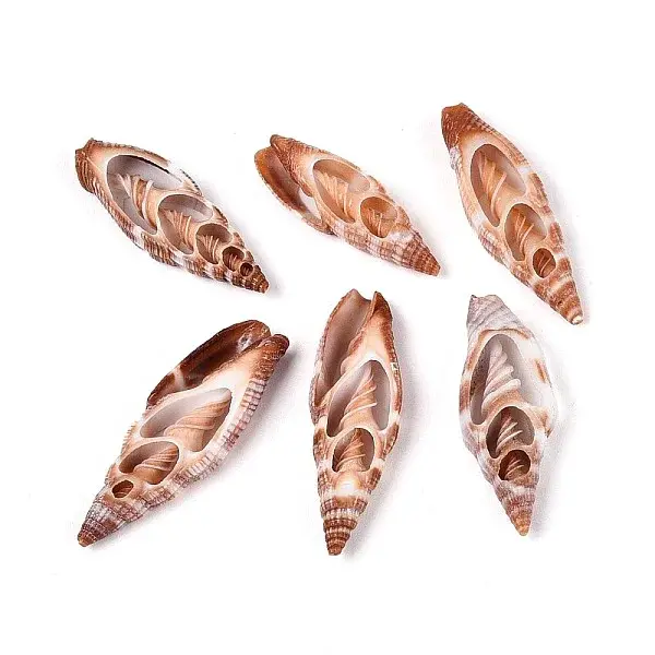 Natural Shell Pendants