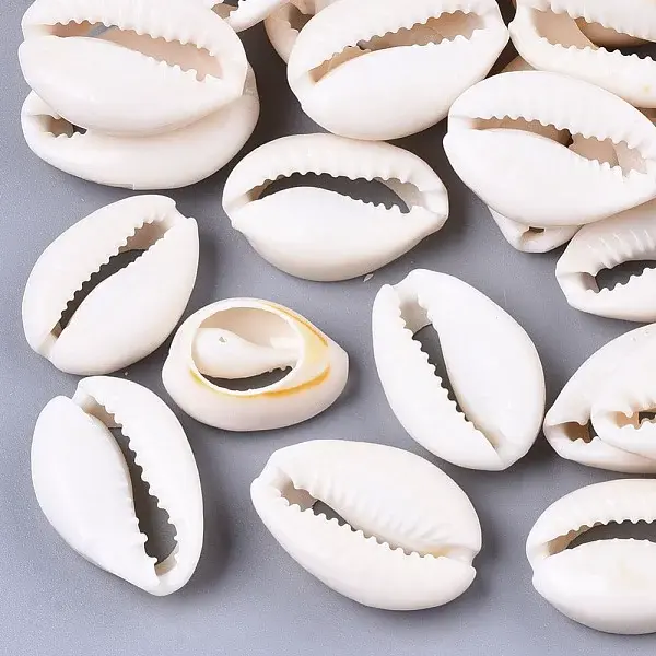 Natural Cowrie Shell Beads