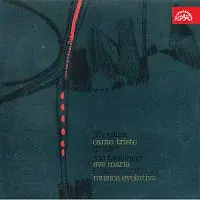 Různí interpreti – Pauer: Canto triste, Tausinger: Ave Maria, Musica evolutiva