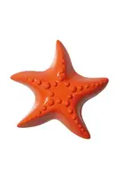 Otvírák na lahve DOIY Ocean Dreams, Starfish oranžová barva
