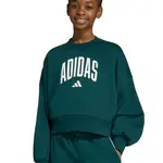 Dětská mikina adidas zelená barva, vzorovaná, JV7377