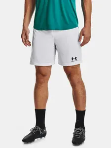 Pánské kraťasy Under Armour