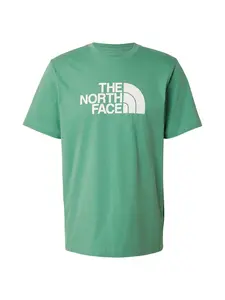 THE NORTH FACE Tričko 'EVOLUTION HALF DOME'  zelená / biela
