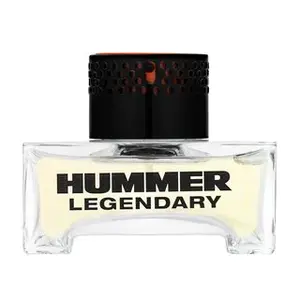 HUMMER Legendary toaletní voda pro muže 40 ml