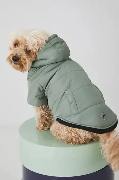 Bunda pre zvieratko Medicine