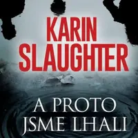 A proto jsme lhali - Karin Slaughter