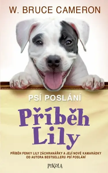 Příběh Lily - Bruce Cameron