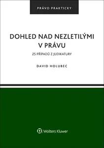 Dohled nad nezletilými v právu - David Holubec