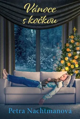 Vánoce s kočkou - Petra Nachtmanová - e-kniha