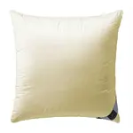 Billerbeck POLŠTÁŘ POD HLAVU, 80/80 cm