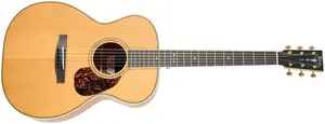 Furch Vintage 2 OM-SM CNR Active 2026