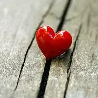 Život – V moci lásky