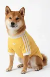 adidas Originals pro mazlíčka Pet Cali