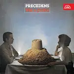 Bára Basiková, Precedens – Věž z písku