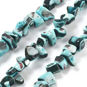 Dyed Natural Trochus Shell Beads Strands