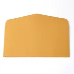Iridescent Paper Envelope