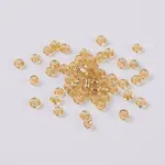 12/0 Glass Seed Beads