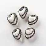 Teardrop Shell Pendants
