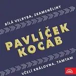 Michael Kocáb, Michal Pavlíček – Pavlíček, Kocáb