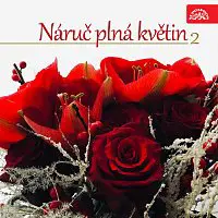 Různí interpreti – Náruč plná květin 2