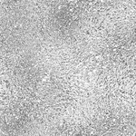 Skleněný panel 60/60 Mercury Esg