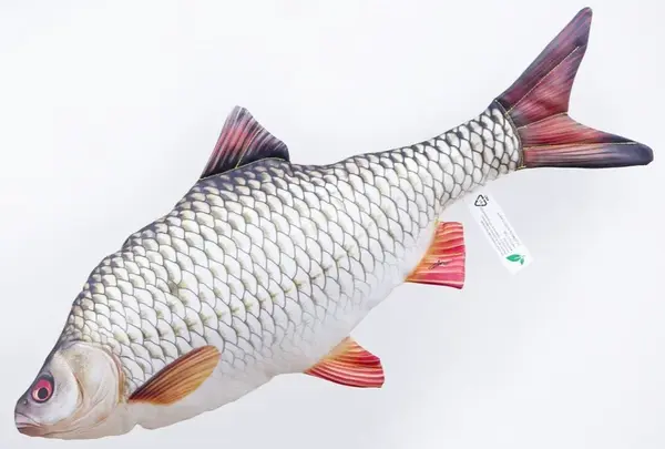 Gaby plyšová ryba plotice obecná 52 cm