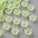 Frosted Acrylic Bead Caps