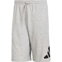 adidas ESSENTIALS BIG LOGO FRENCH TERRY SHORTS Pánske kraťasy, sivá, veľkosť XXXL