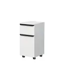 Kúpeľňová skrinka nízka Naturel Pavia 40x75,8x43 cm biela mat PAVIA3N40CE