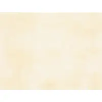 Obklad Rako Patina svetlo béžová 25x33 cm mat WATKB230.1