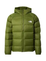 THE NORTH FACE Zimná bunda 'Hydrenalite'  olivová