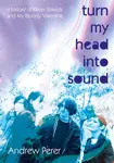 Turn My Head Into Sound - Andrew Perer