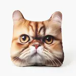 Tvarovaný polštářek 3D PERSKÁ KOČKA