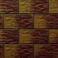 Fasádní Obklad CER 21 30/14,8