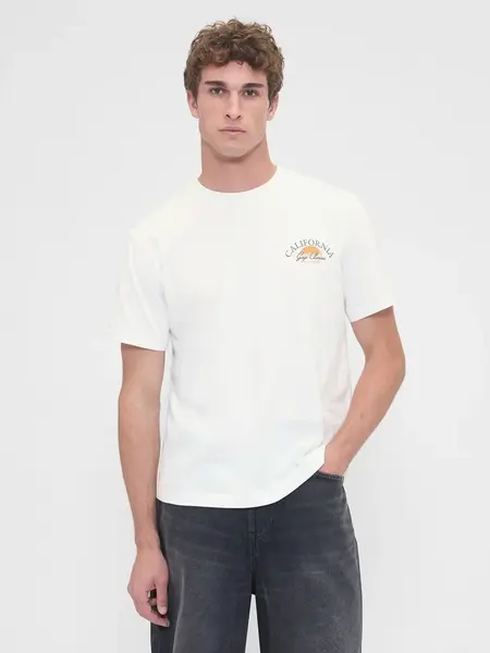 GAP Pánské Tričko Everyday Soft 797716-05 Velikost: M