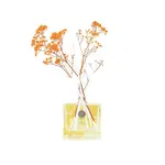 Ashleigh & Burwood London Difuzér LIFE IN BLOOM - ORANGE BLOSSOM & MANDARIN, 150 ml