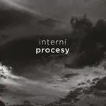 Interní procesy - Irena Franková - e-kniha