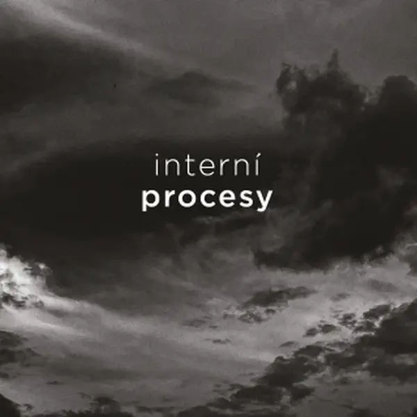 Interní procesy - Irena Franková - e-kniha
