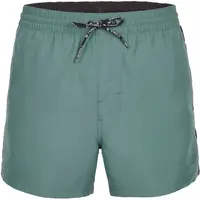 O'Neill COAST 14'' Pánské koupací šortky, tmavě zelená, velikost